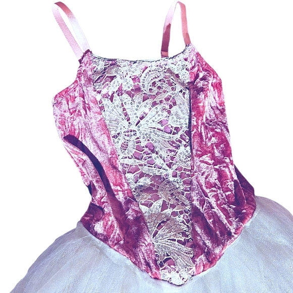 Revolution Velvet, Lace, Tulle, & Sequins Long Tutu Ballet Dress w/ Floral Trim - Picture 2 of 6